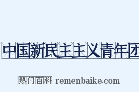 中国新民主主义青年团是什么意思的图片